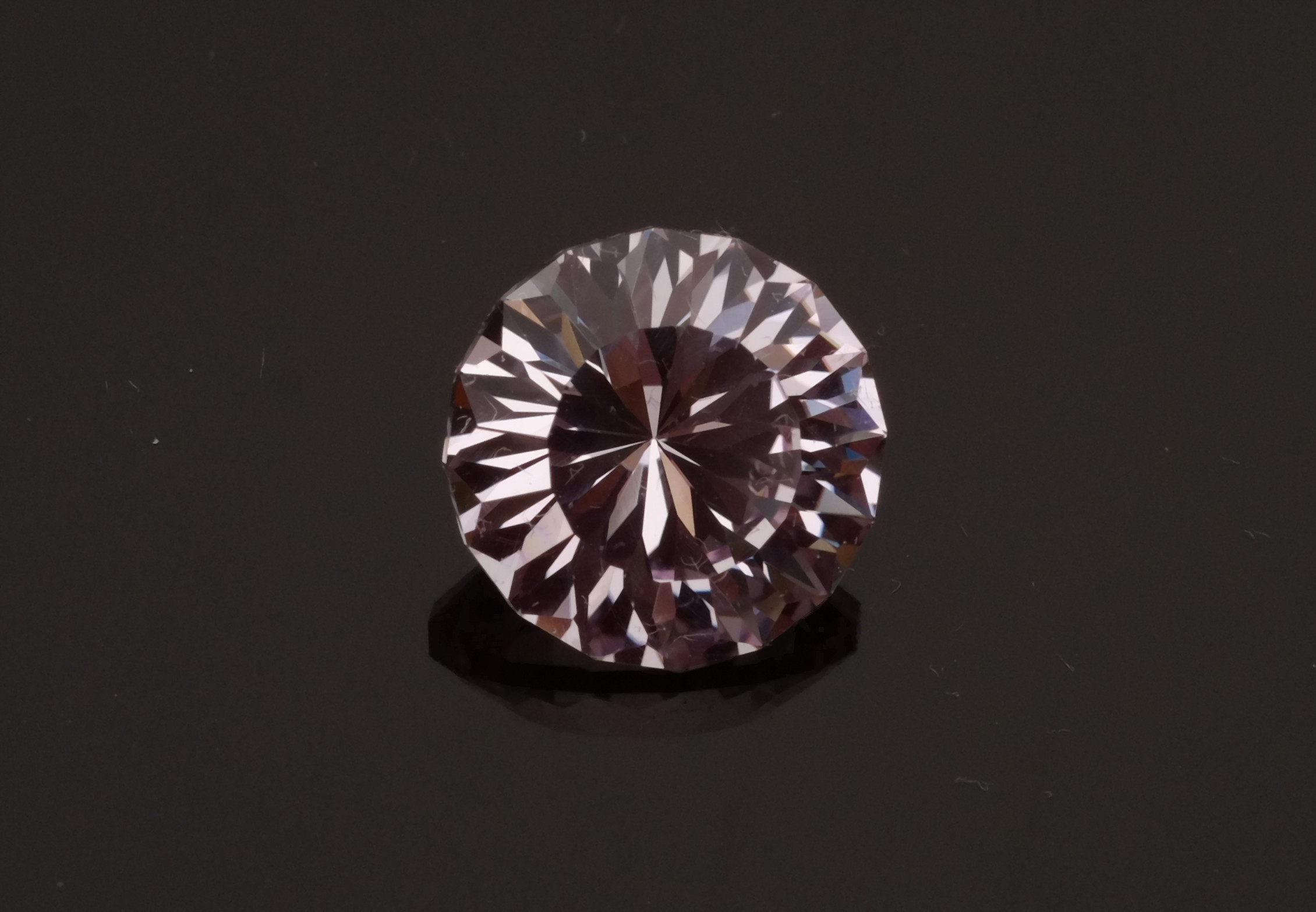 Pink Sapphire - Chrysanthemum