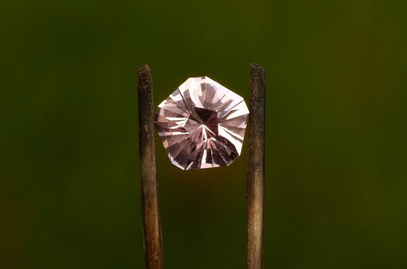 Pink Sapphire - Chrysanthemum